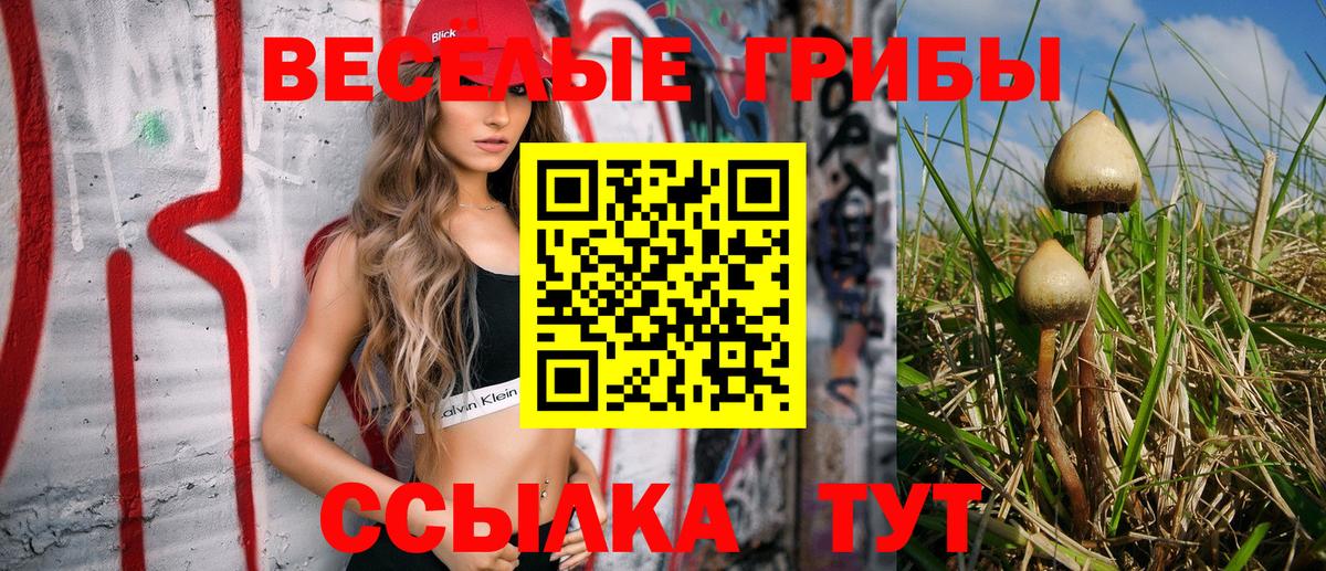 Галлюциногенные грибы Cubensis Йошкар-Ола